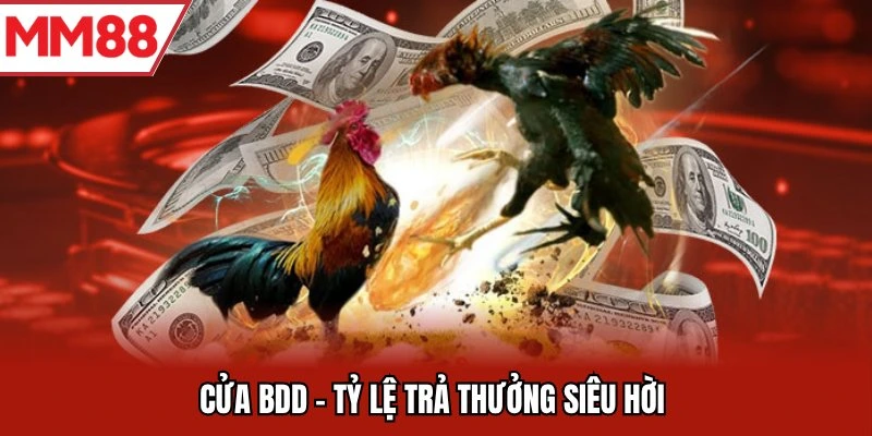 Cửa BDD tỷ lệ trả thưởng siêu hời Đá Gà MM88
