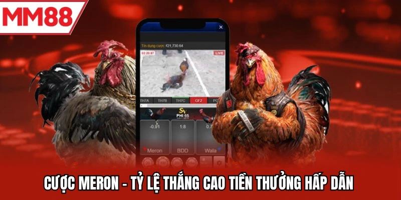 Cược Meron tỷ lệ thắng cao tiền thưởng hấp dẫn
